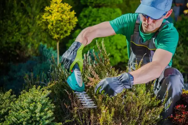 landscaping services Wheelwright